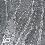 کاغذ دیواری قابل شستشو طرح انتزاعی آلبوم مای‌استارx کد x016 نمای کلوز