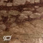 کاغذ دیواری زیبا طرح برگ آلبوم راکتور کد 8153 نمای کلوز